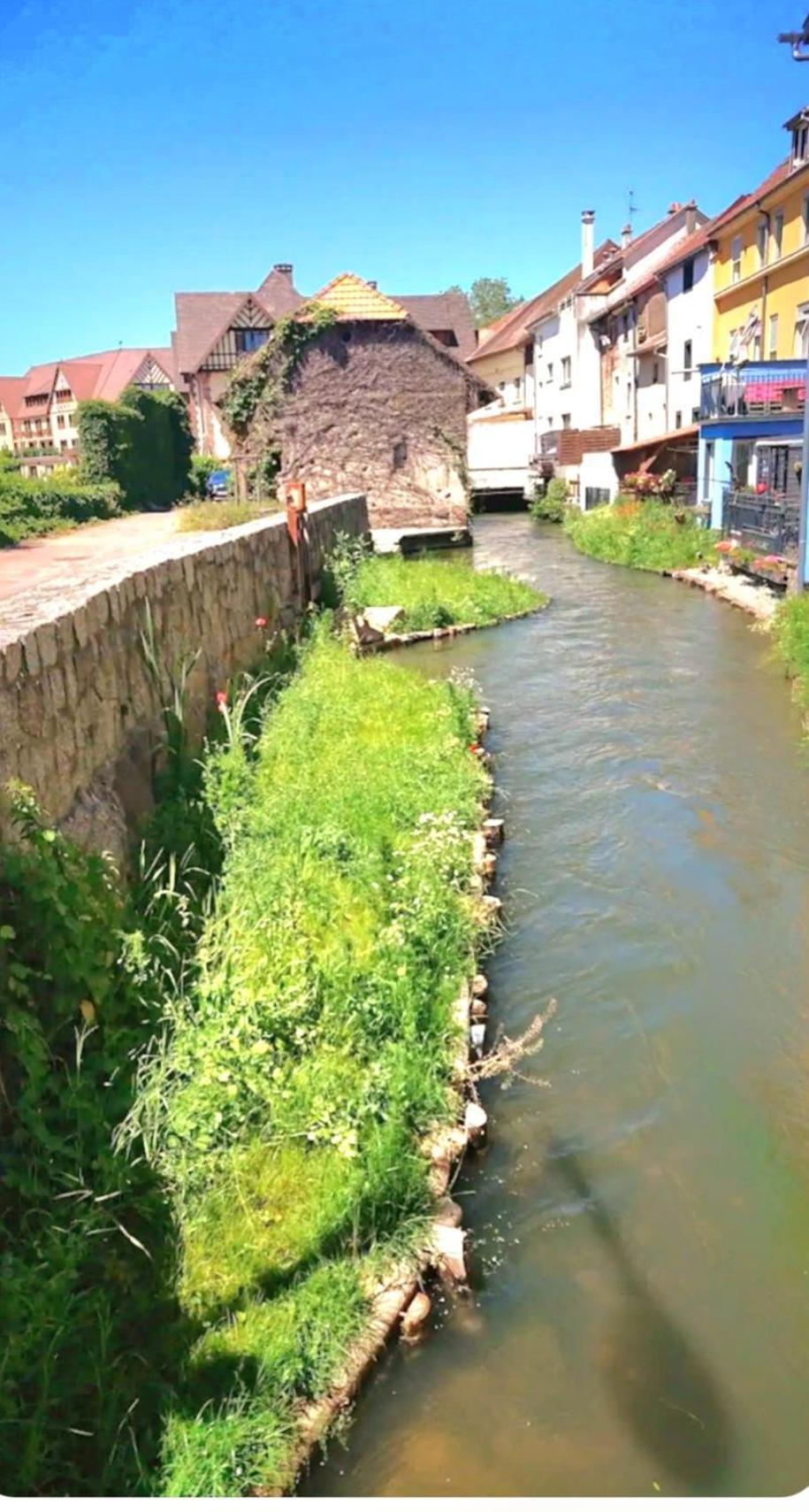 L'Atypique Des Remparts Villa Ensisheim Eksteriør billede